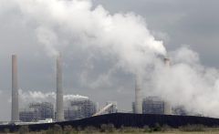 Minnesota officials respond to Biden’s decision on renewable volume obligations