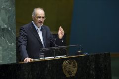 UN General Assembly approves Syria resolution