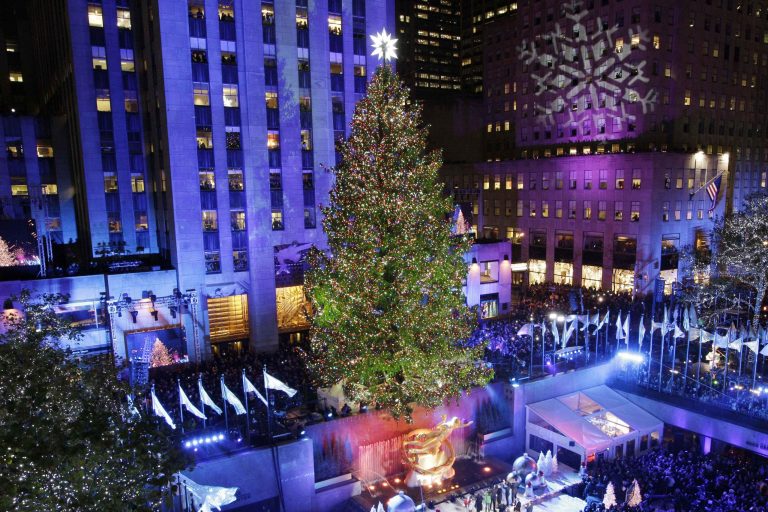   In this Wednesday, Nov. 28, 2012 photo, the Rockefeller Center Christmas tree is lit during the 80th annual tree lighting ceremony at Rockefeller Center in New York. Scientists are working to decipher the DNA code of conifers, like this Norway spruce at Rockefeller Center in New York. In late 2012, scientific teams in the United States and Canada have released preliminary, patchy descriptions of conifer genomes. And a Swedish team plans to follow suit soon in its quest for the Norway spruce. (AP Photo/Kathy Willens)  
