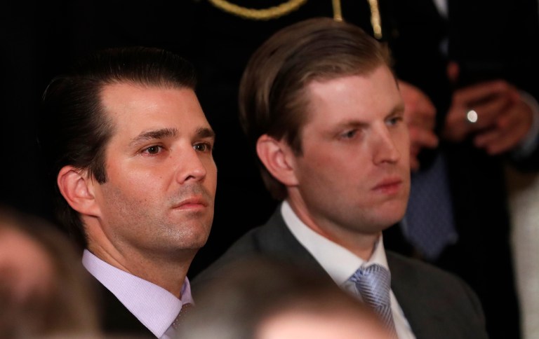 Trump's two sons and his daughter-in-law volunteered for Trump's campaign, and Eric Trump and Donald Trump Jr., now run the Trump Organization. (AP Photo/Carolyn Kaster)
