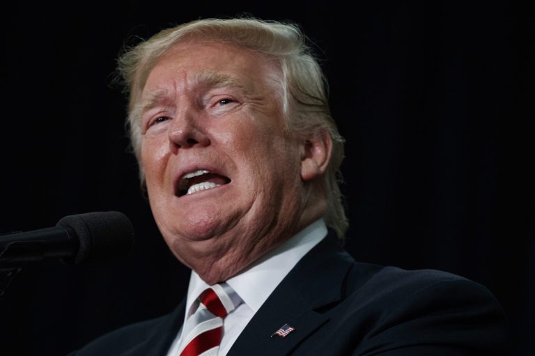 Republican presidential candidate Donald Trump speaks during a campaign rally at Windham High School, Saturday, Aug. 6, 2016, in Windham, N.H. (AP Photo/Evan Vucci)