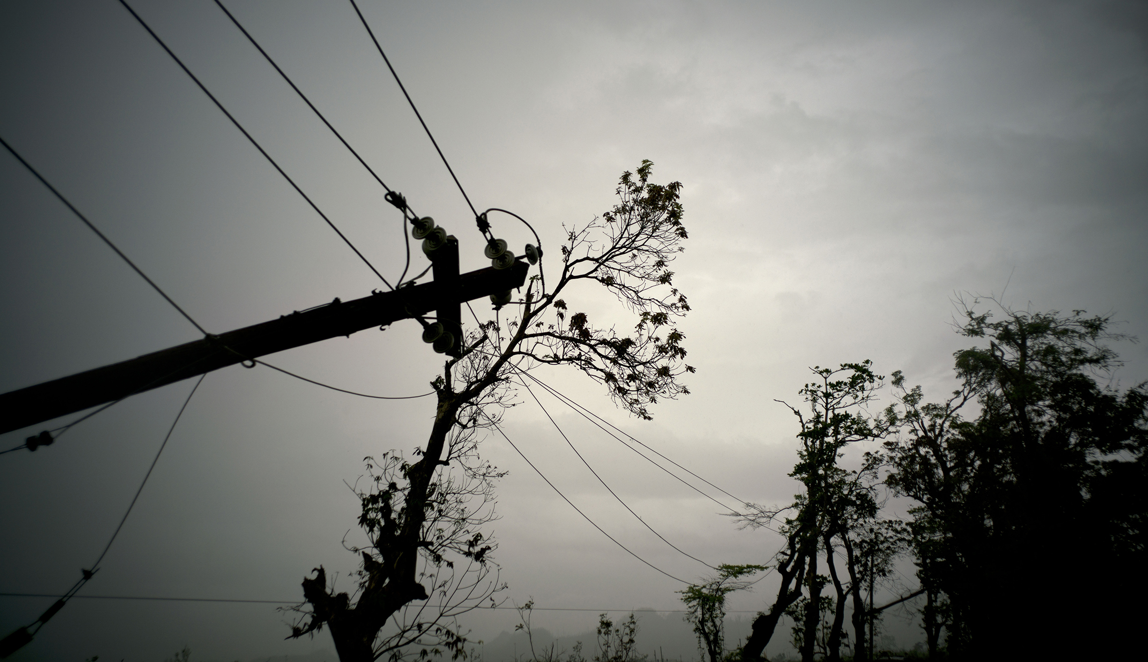 Montana-based firm will help repair electrical infrastructure in Puerto Rico
