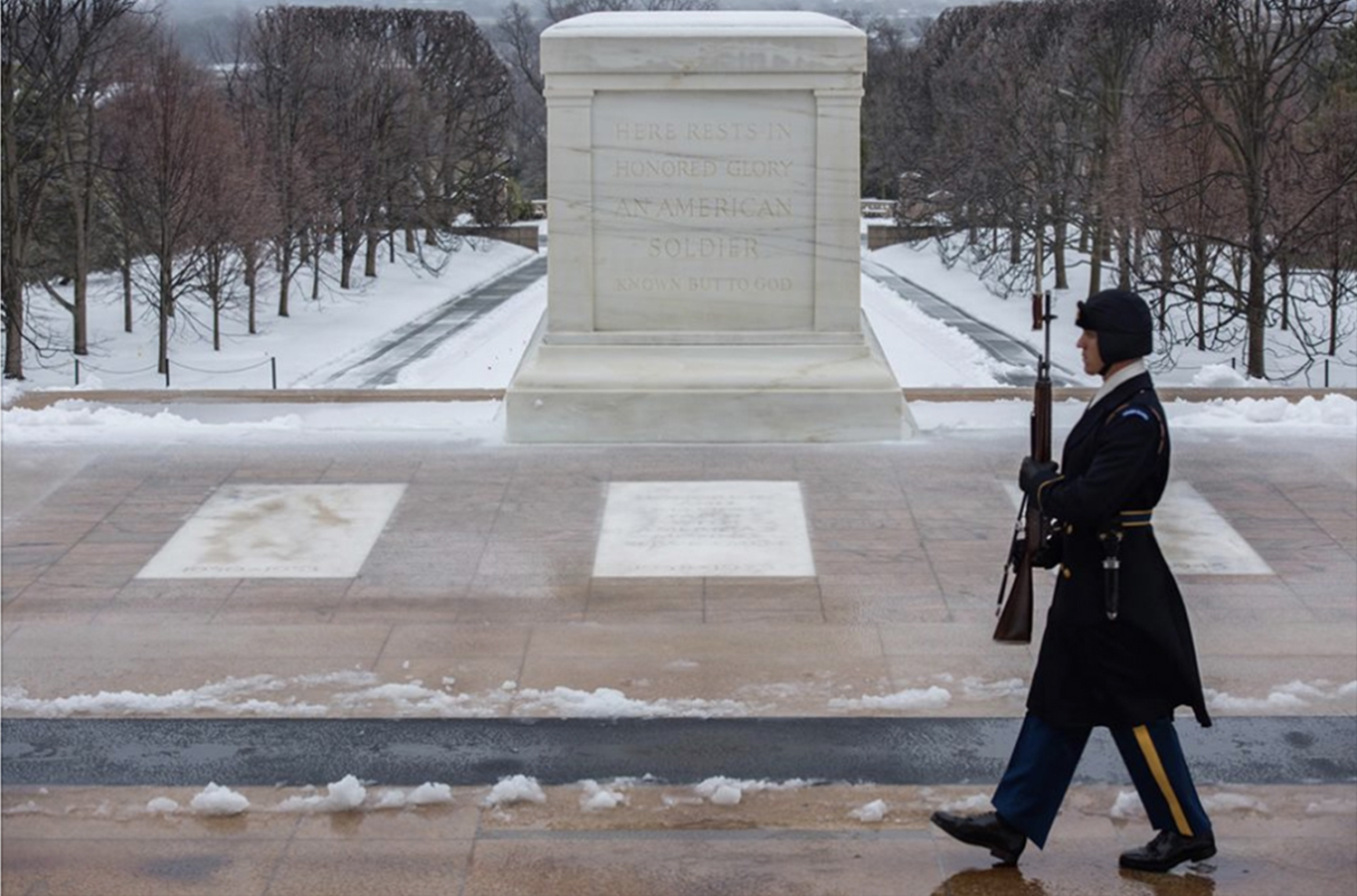 Military honors Veterans Day at Arlington National Cemetery