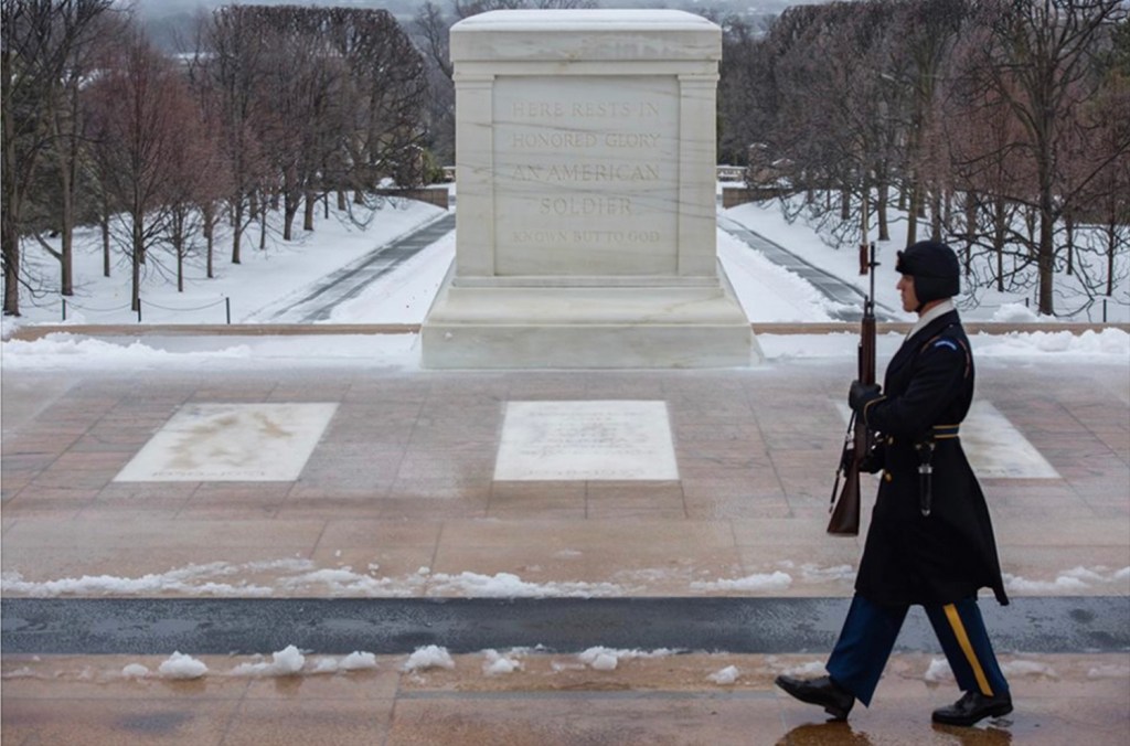Military honors Veterans Day at Arlington National Cemetery