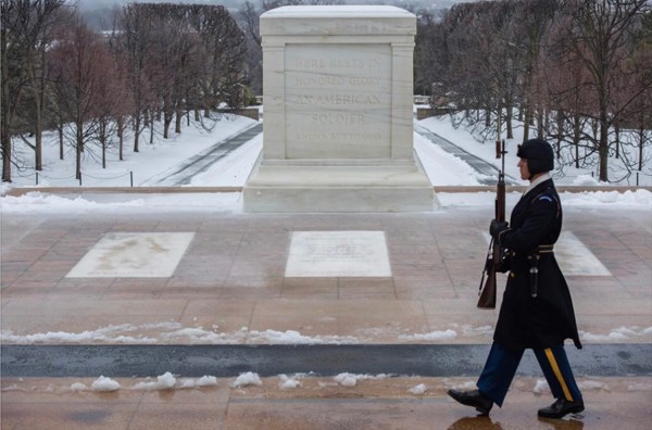 Military honors Veterans Day at Arlington National Cemetery