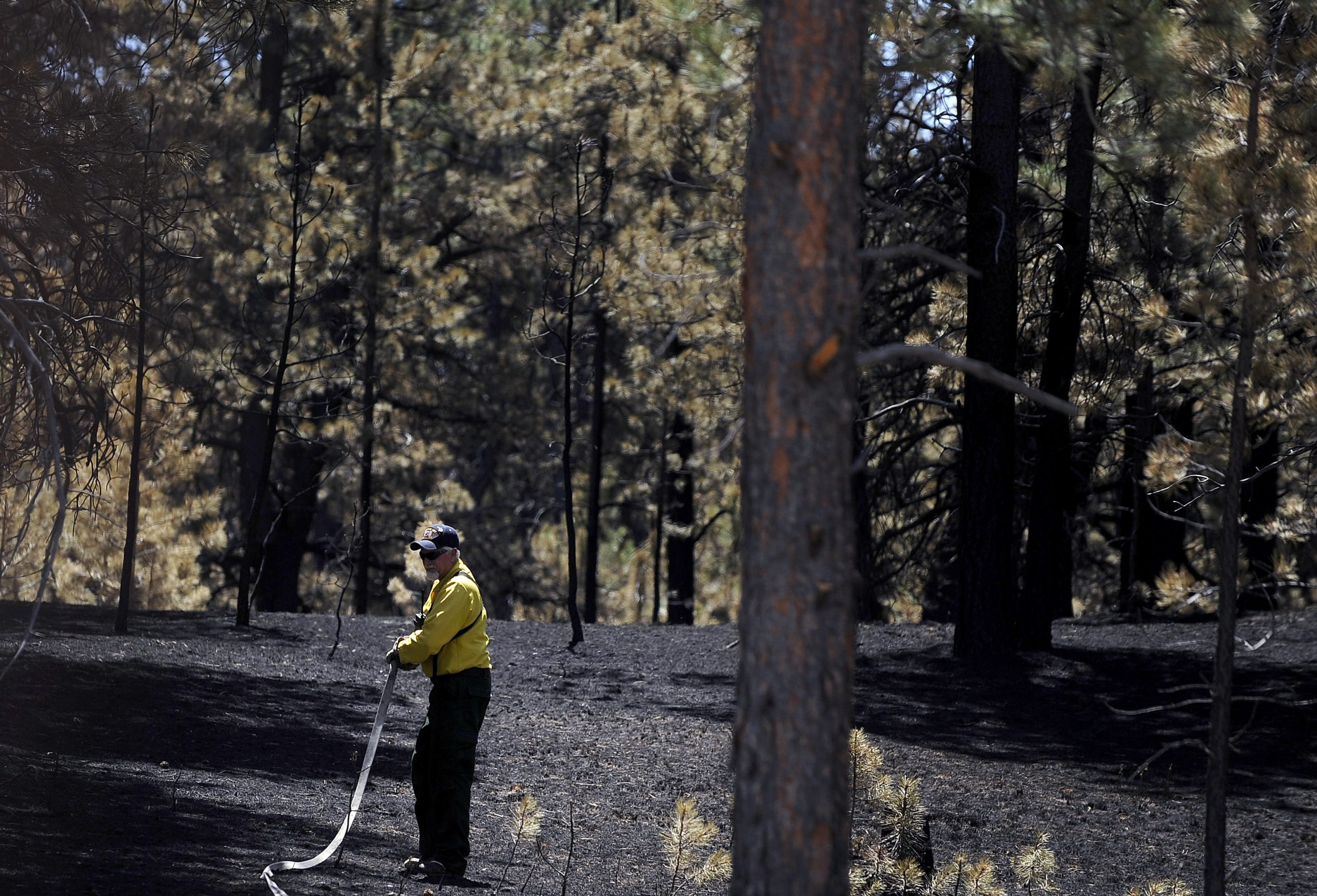 Expert warns terrorists may be setting wildfires across American West