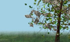 Examiner Editorial: Big Green lawyers have hijacked the Endangered Species Act