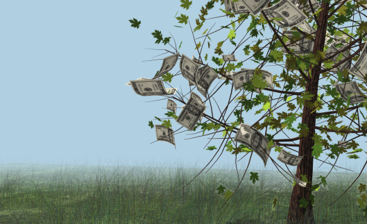 Filing Endangered Species Act cases not only generates revenue from tax-funded attorney reimbursements; it also provides sensational copy for Big Green fundraising appeals. (Photo: Thinkstock)