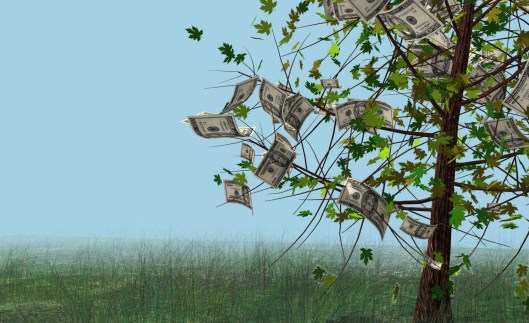 Examiner Editorial: Big Green lawyers have hijacked the Endangered Species Act