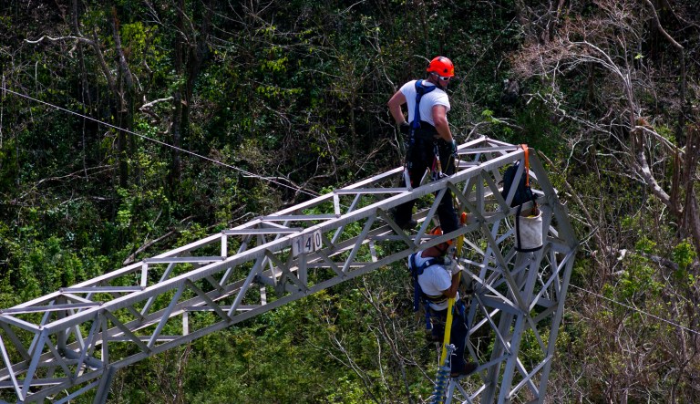 Whitefish unsuccessfully sought to obtain exemptions from Puerto Rican taxes and labor laws, according to documents provided to the House Natural Resources Committee. (AP Photo/Ramon Espinosa)