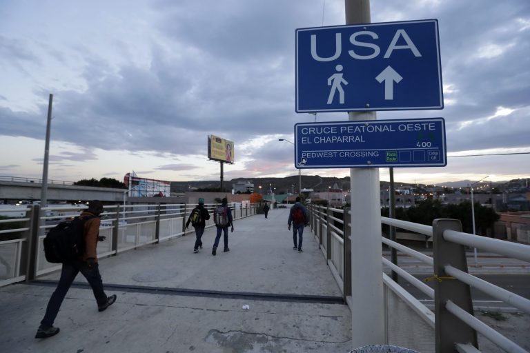 President Trump on Monday appointed Thomas D. Homan to acting director of ICE. (AP Photo/Gregory Bull)