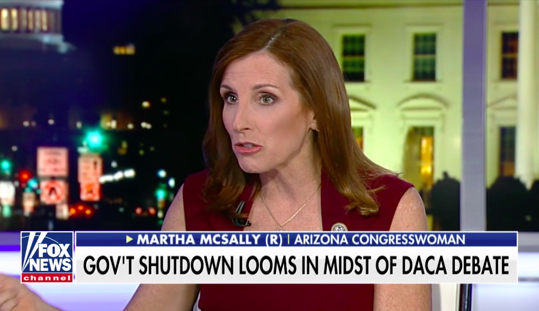 Martha McSally: Lawmakers are ‘dicking around’ on immigration deal
