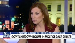 Martha McSally: Lawmakers are ‘dicking around’ on immigration deal