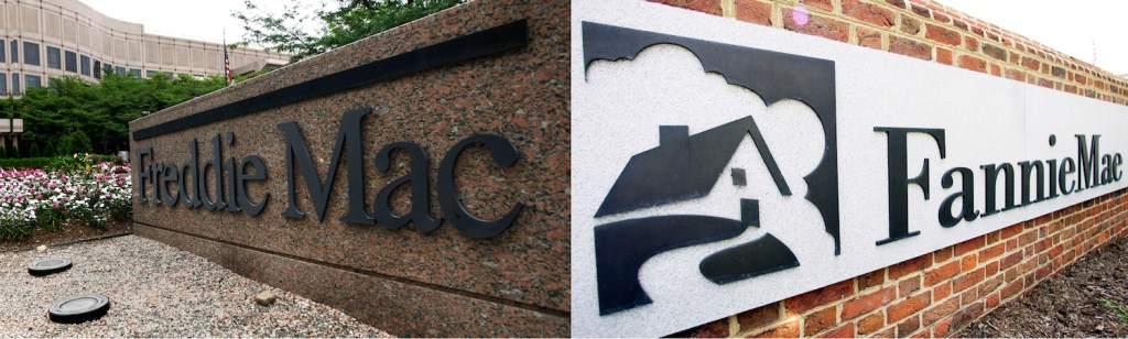Mnuchin: Fannie and Freddie ‘important entities’