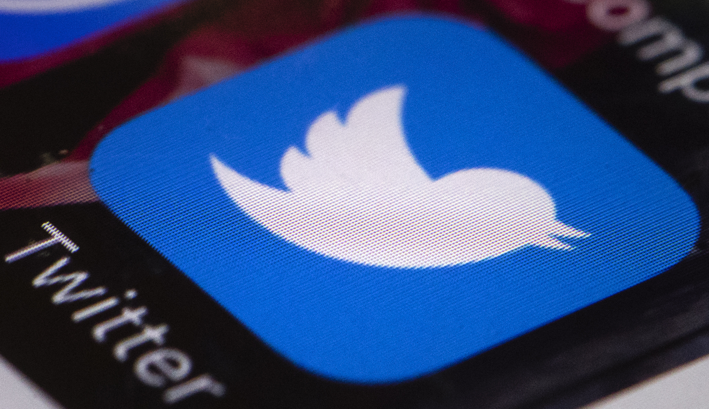 Members of Trump family and campaign retweeted content from Russian ‘troll farm’ right before the election