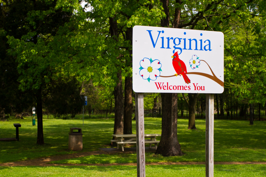 Big money, sharp elbows in Virginia special senate election