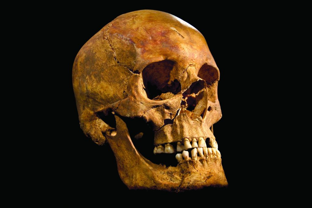 Professor branded as racist sues university for blocking access to human remains