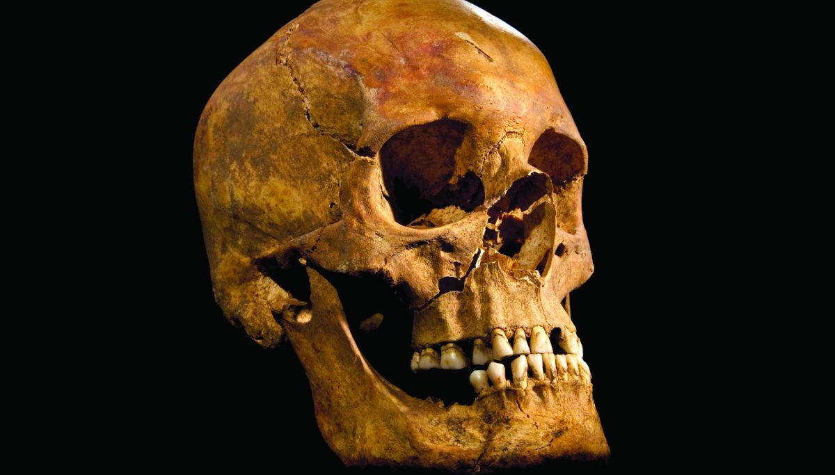 Professor branded as racist sues university for blocking access to human remains