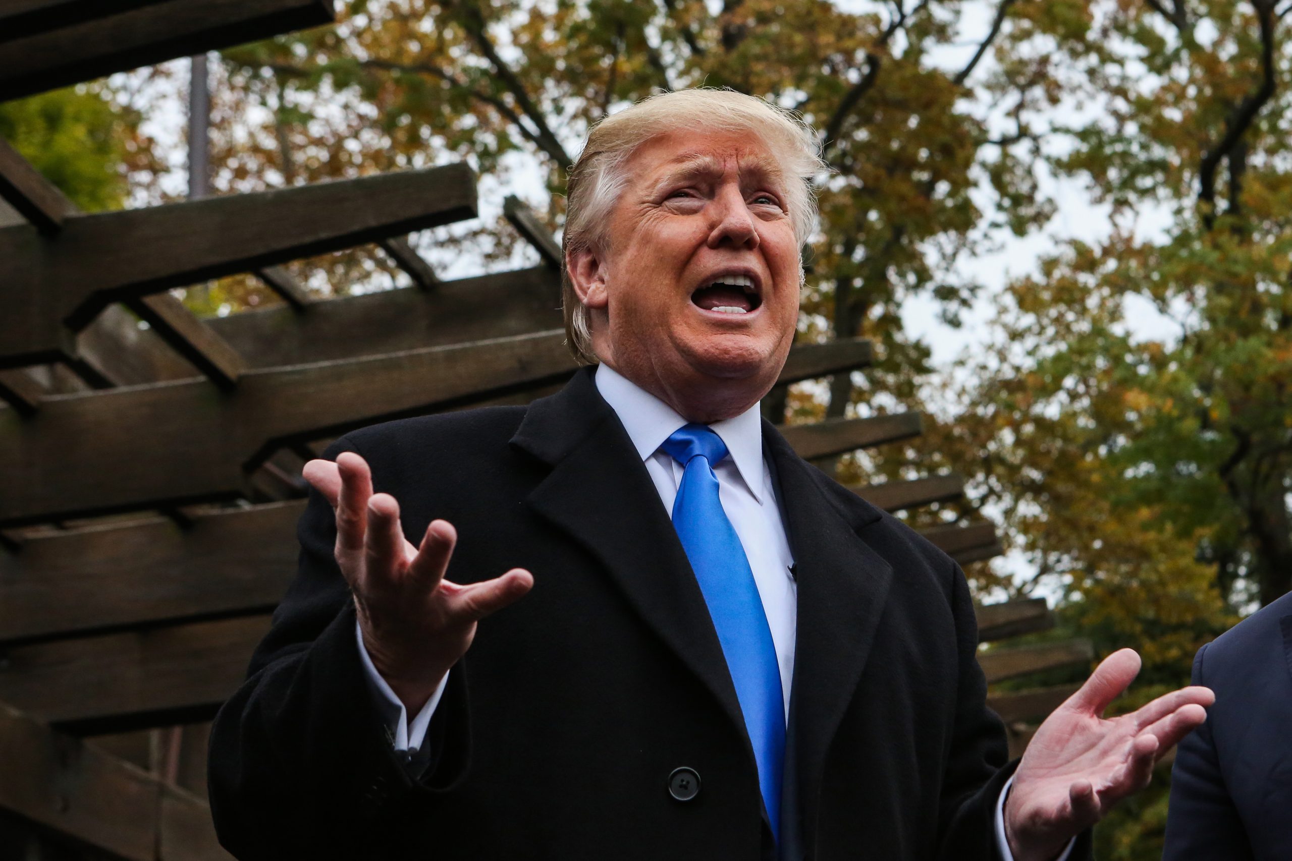 Trump on third-party run: ‘All options are open’