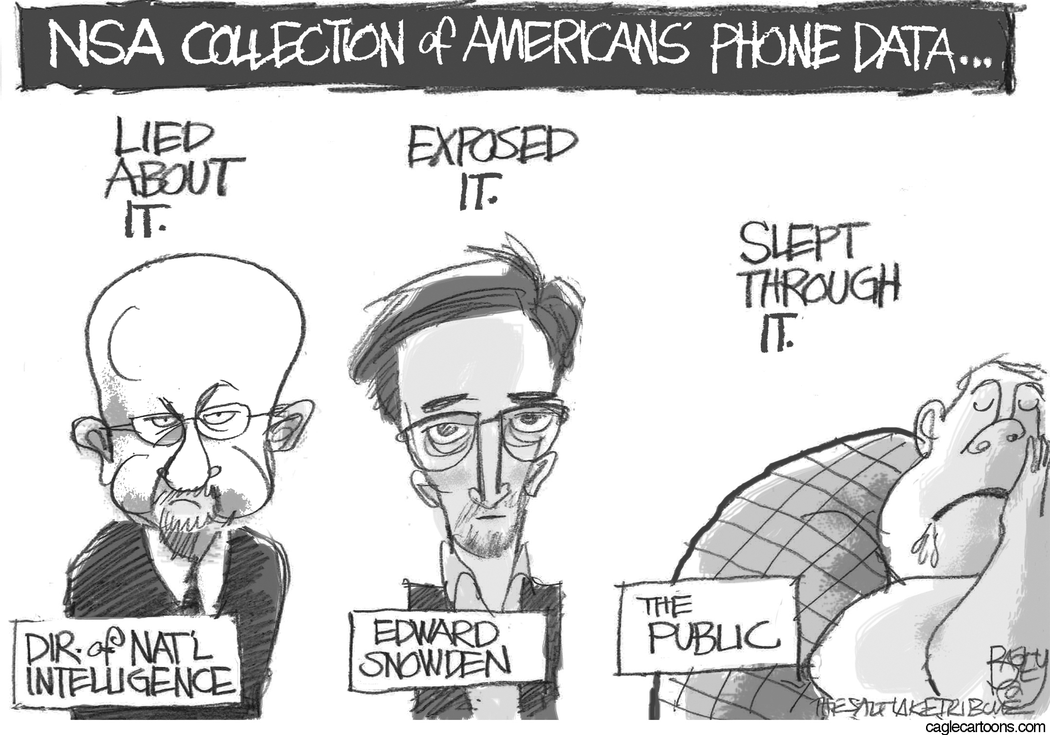 Editorial cartoon: The public v. the NSA