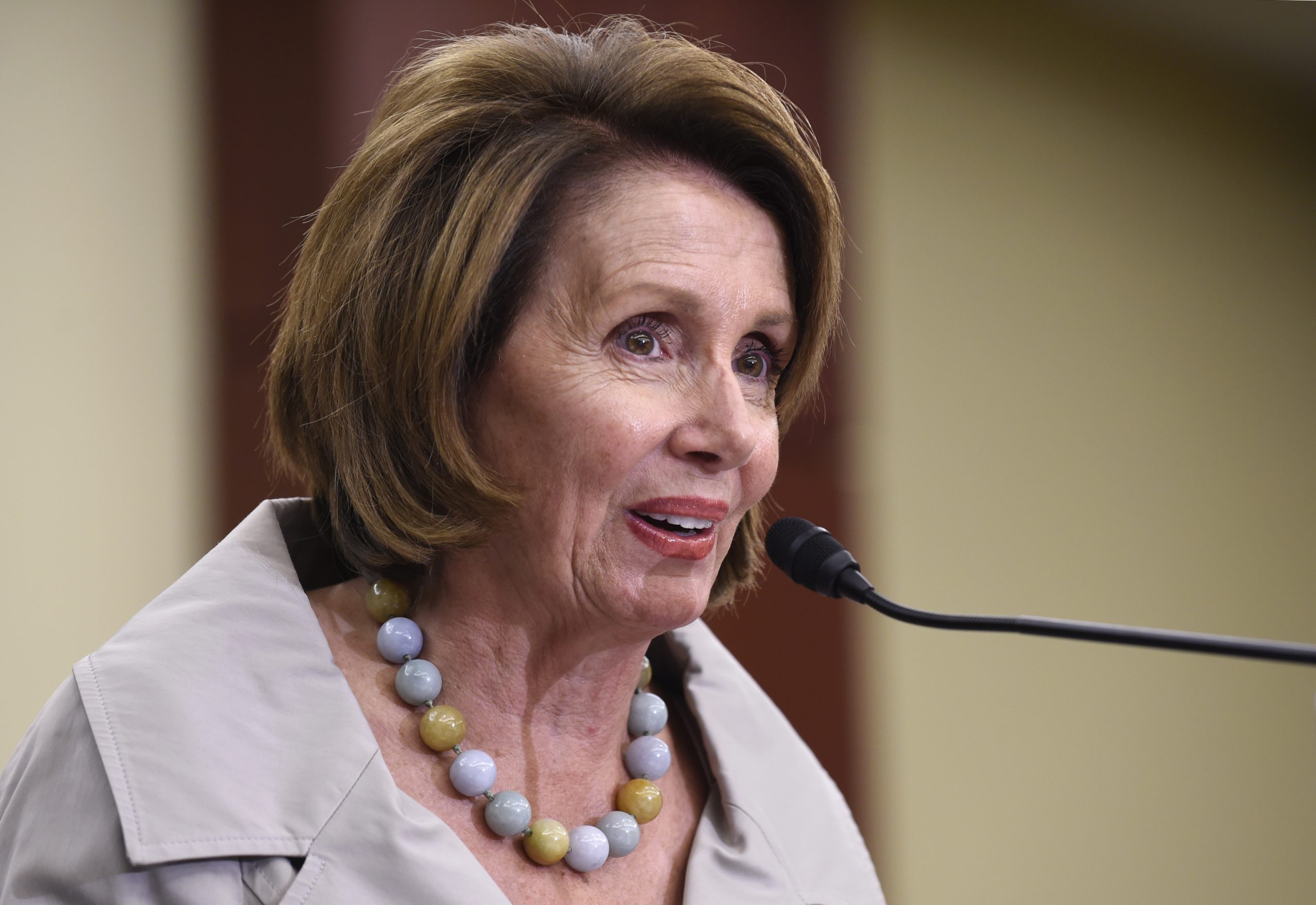 Pelosi brings Dem donor, green activist to pope speech