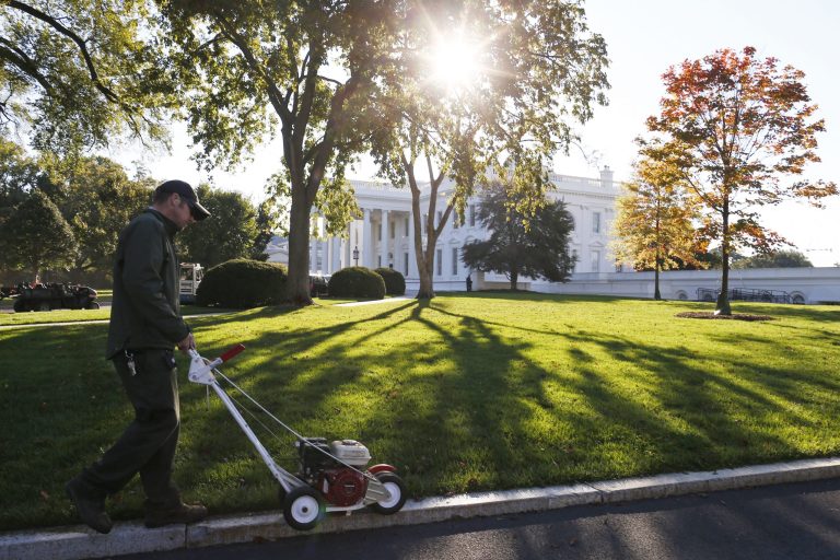 A National Park Service employee uses an edge trimmer as workers tend to the North Lawn of the White House in Washington, Friday, Oct. 18, 2013, after a 16-day partial government shutdown was resolved by lawmakers late Wednesday.   (AP Photo/Charles Dharapak)