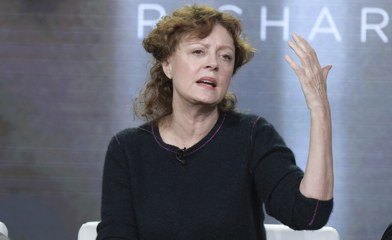 Susan Sarandon: Pruitt is ‘the end of the EPA’