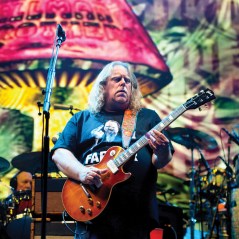 Lockn’ Roll