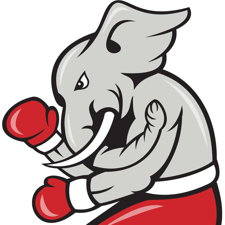 A Do-Nothing Congress?