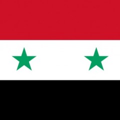 Syrian Subterfuge