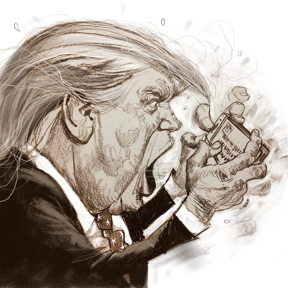 Donald Trump, the Tweeter in Chief