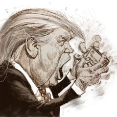 Donald Trump, the Tweeter in Chief