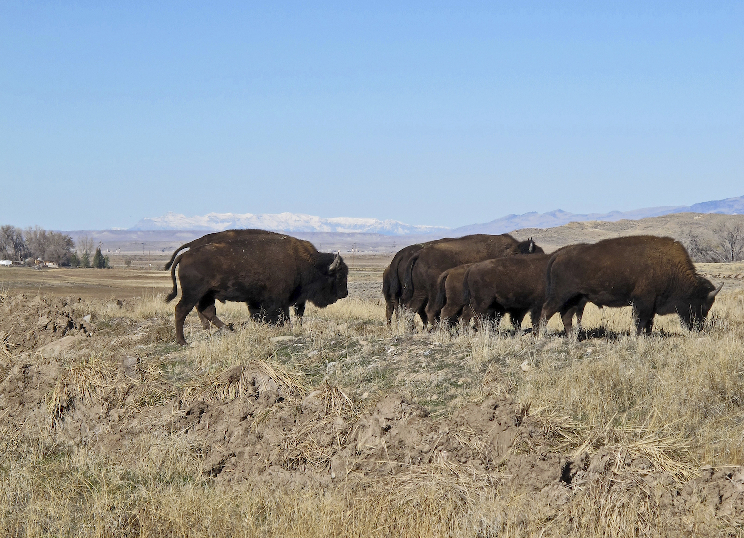 Obama’s land grab in Wyoming killed by appeals court