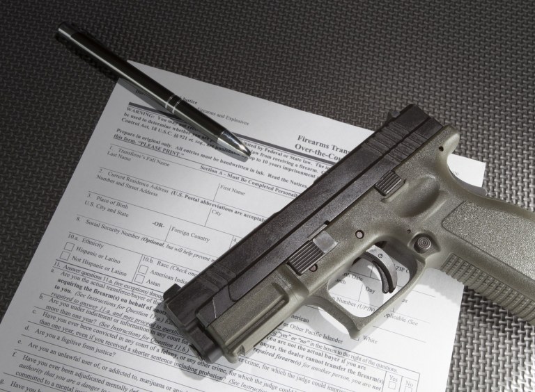 Gun purchase application image from the FBI's NICS page.