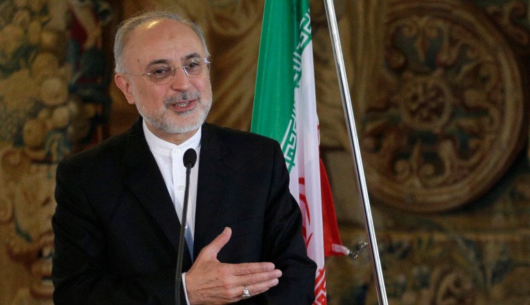 Iran's atomic chief Ali Akbar Salehi warned that the Islamic Republic can ramp up its uranium enrichment level to 20 percent in a matter of days. (AP Photo/Petr David Josek)