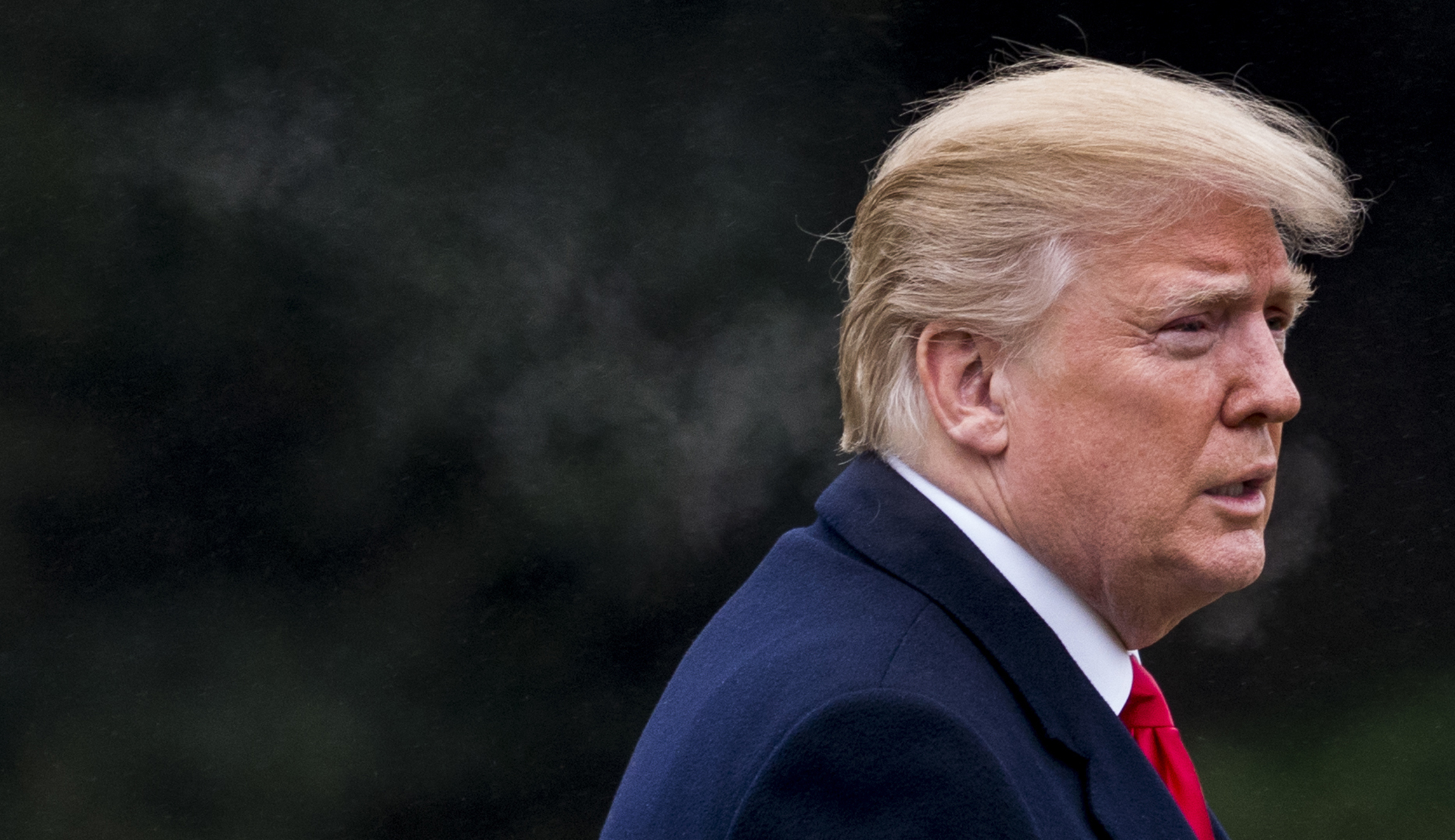 Trump tells Pentagon to plan military parade for Veterans Day: Report