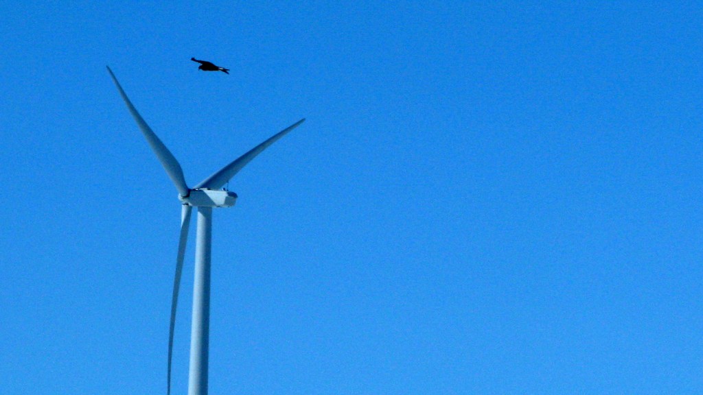Feds get defensive in allowing wind turbines to kill more eagles