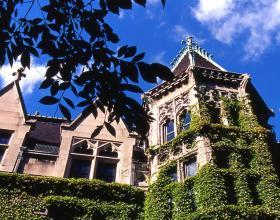 The College Bubble