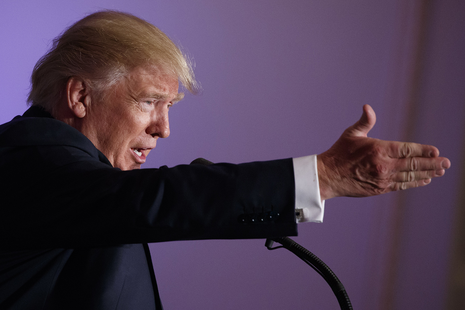 Trump approval among black voters near 20%: Poll