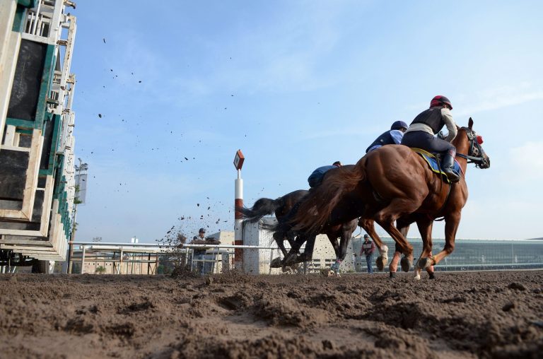 In this July 25, 2014 photo, Sofia Barandela, 28, right, takes the horse she is working out for a practice run from the gate at the Hippodrome of the Americas in Mexico City. Barandela, who has been working as a veterinarian and galloper at the track for two years, recently filed her paperwork to be a apprentice jockey and should begin racing competitively soon. (AP Photo/Sean Havey)