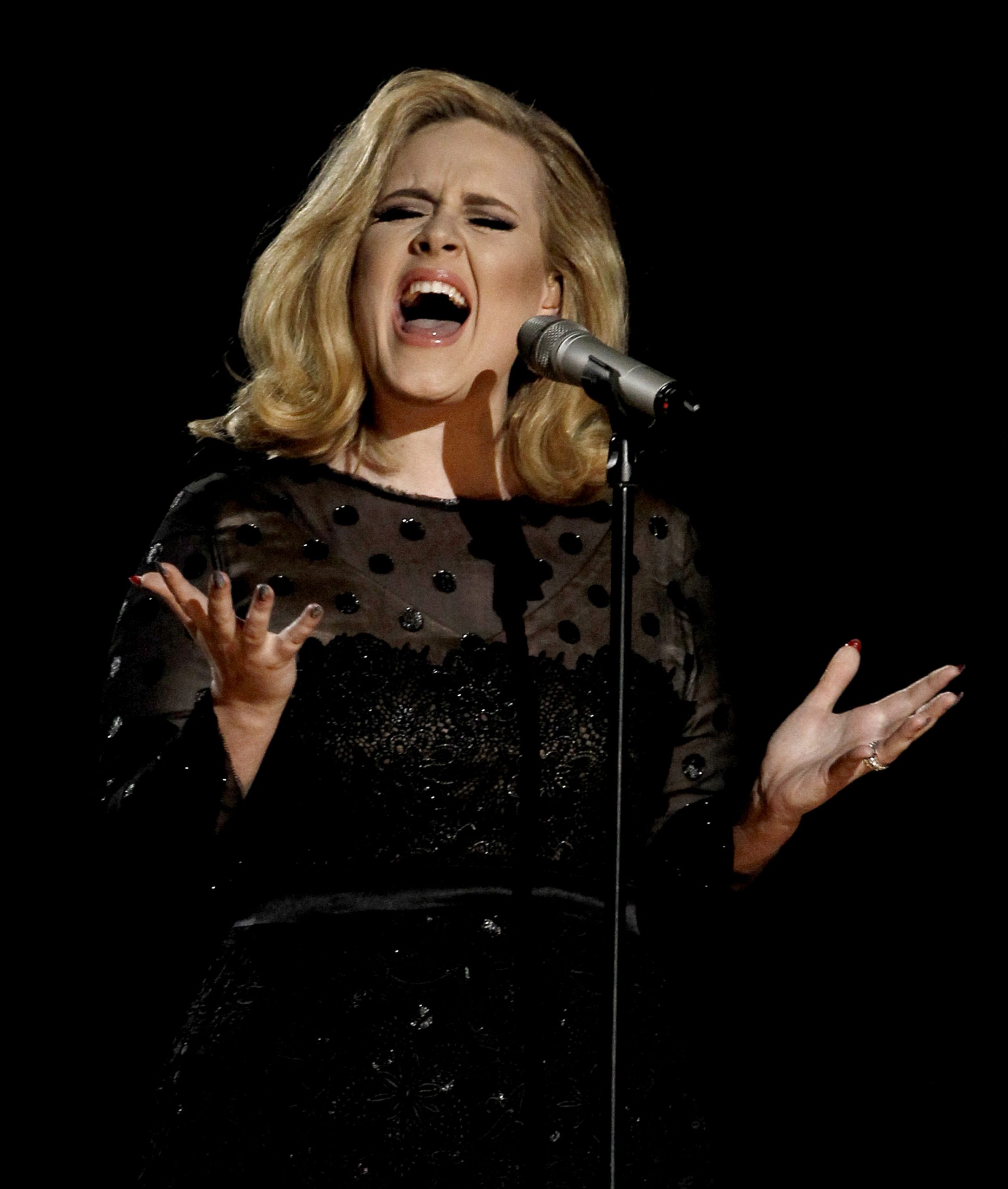 Adele, Carly Rae top music; Birds rule 2012 apps