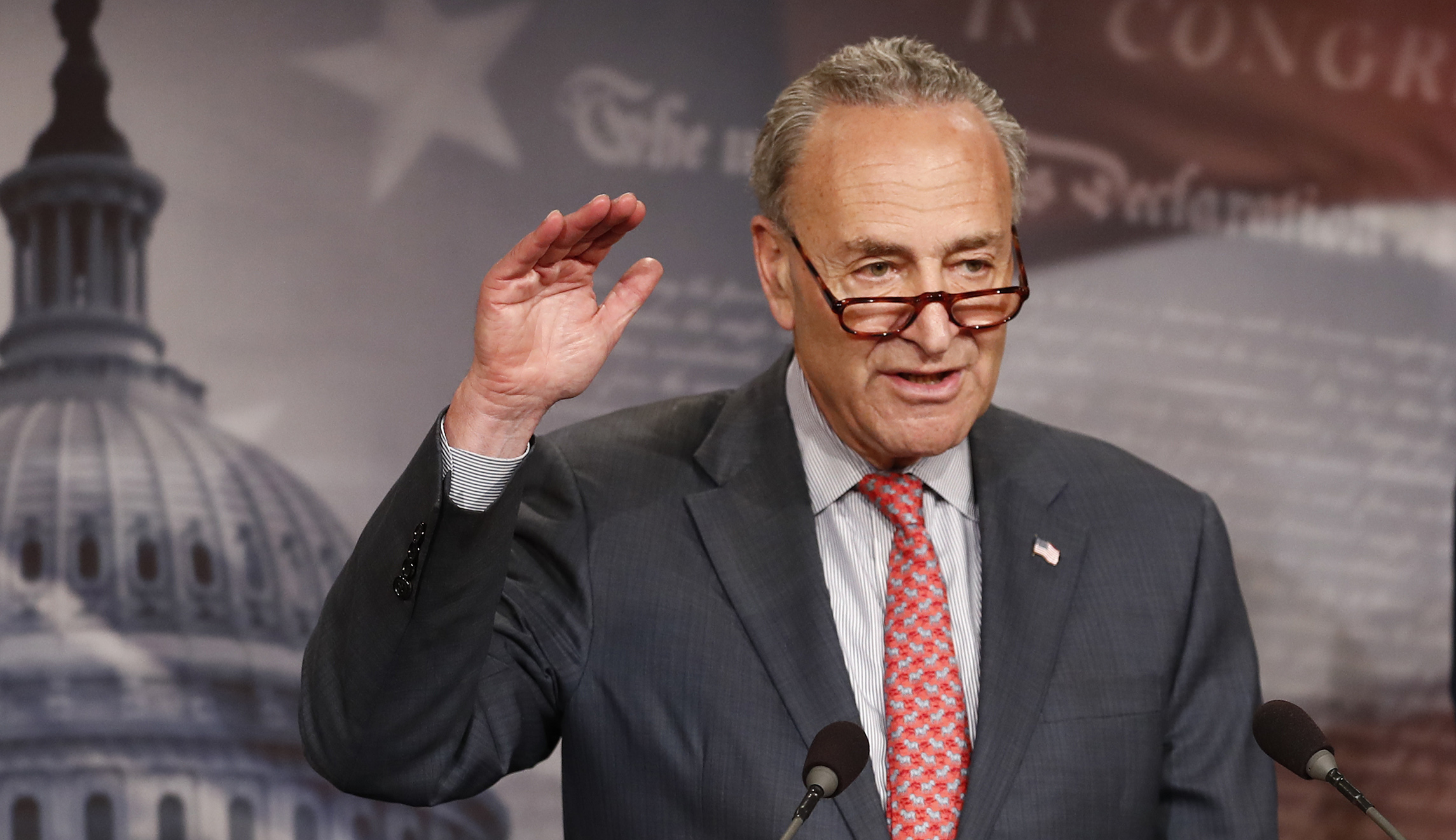 Chuck Schumer: Donald Trump Jr. should testify publicly and under oath