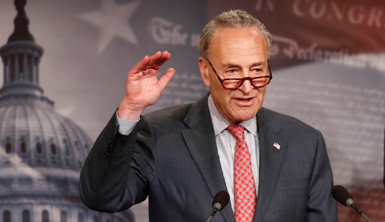 Senate Minority Leader Chuck Schumer, D-N.Y., on Tuesday called on Donald Trump Jr. to testify under oath and in public about the meetings he had with a Russian lawyer. (AP Photo/Carolyn Kaster)