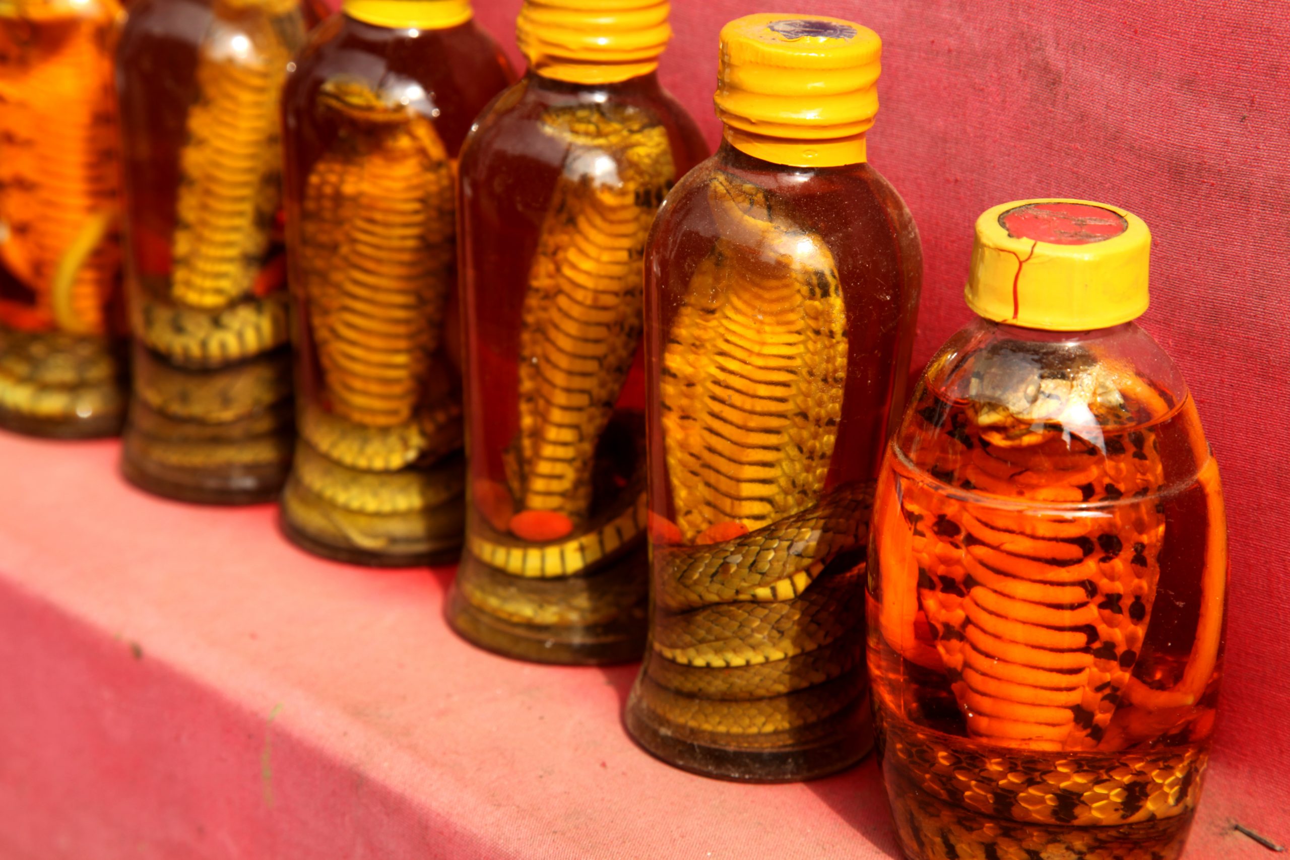 Donald Trump’s Snake Oil