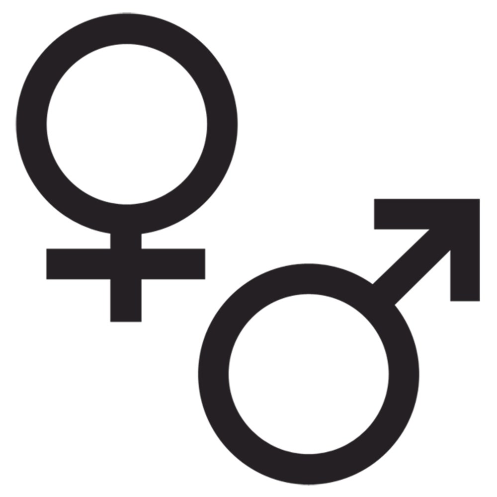 The Masculine Case