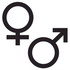 The Masculine Case