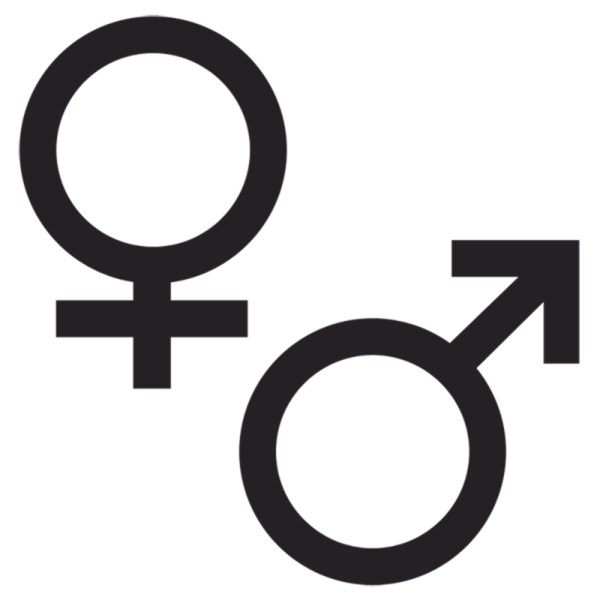 The Masculine Case