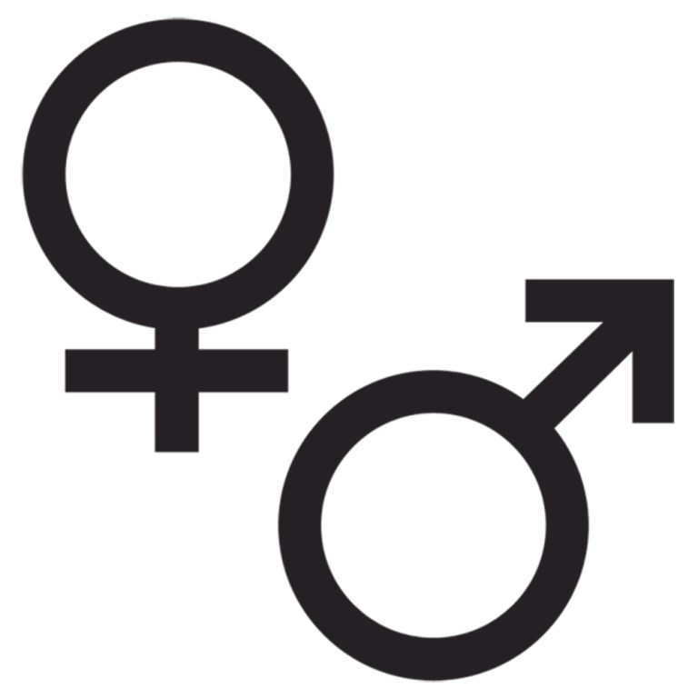 The Masculine Case