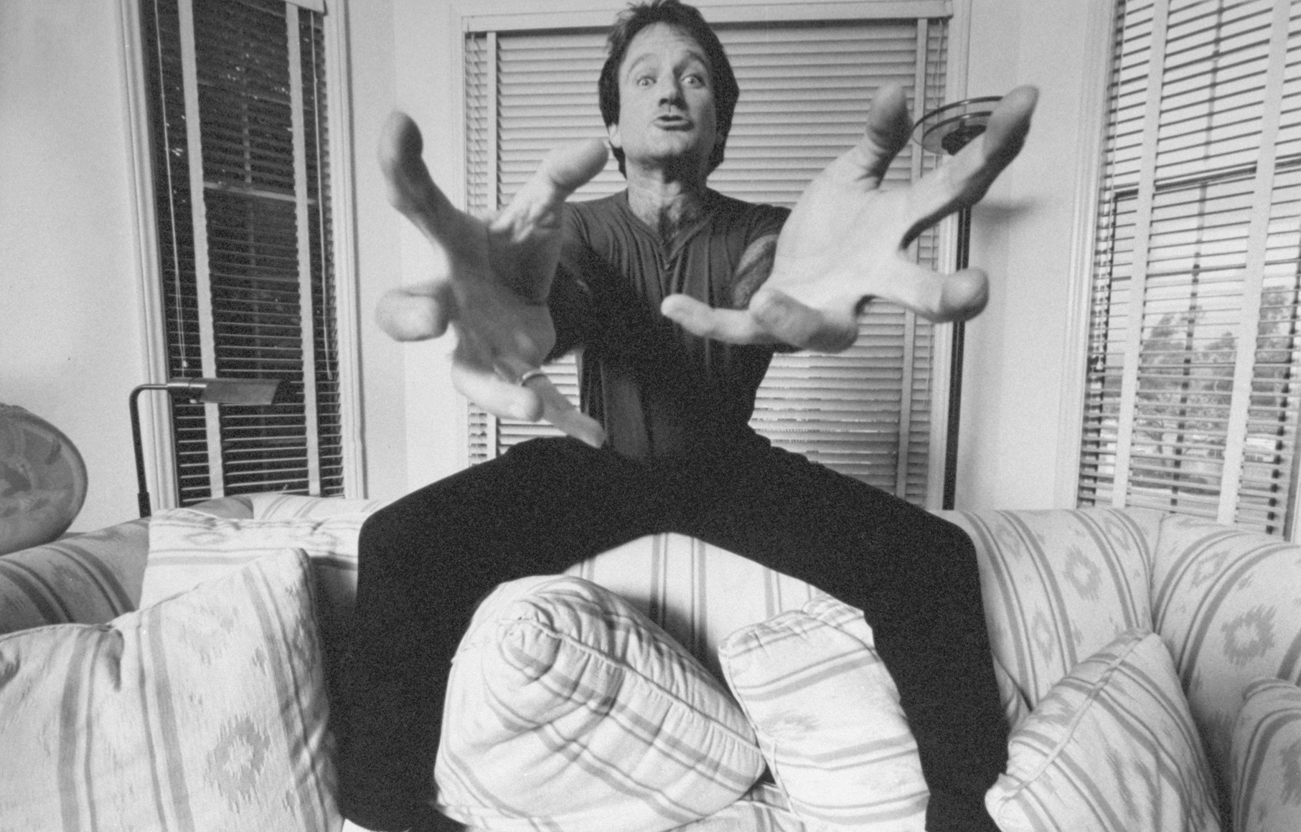 Robin Williams