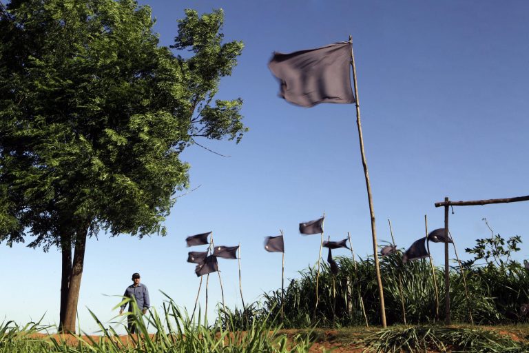   In this Nov. 13, 2012 photo, a farmer walks behind black flags representing 11 landless farmers who were killed during clashes with police in the Yvy Pyta settlement near Curuguaty, Paraguay. The âMassacre of Curuguatyâ on June 15 occurred when negotiations between farmers occupying a rich politician's land ended with a barrage of bullets that killed 11 farmers and 6 police officers. (AP Photo/Jorge Saenz)  